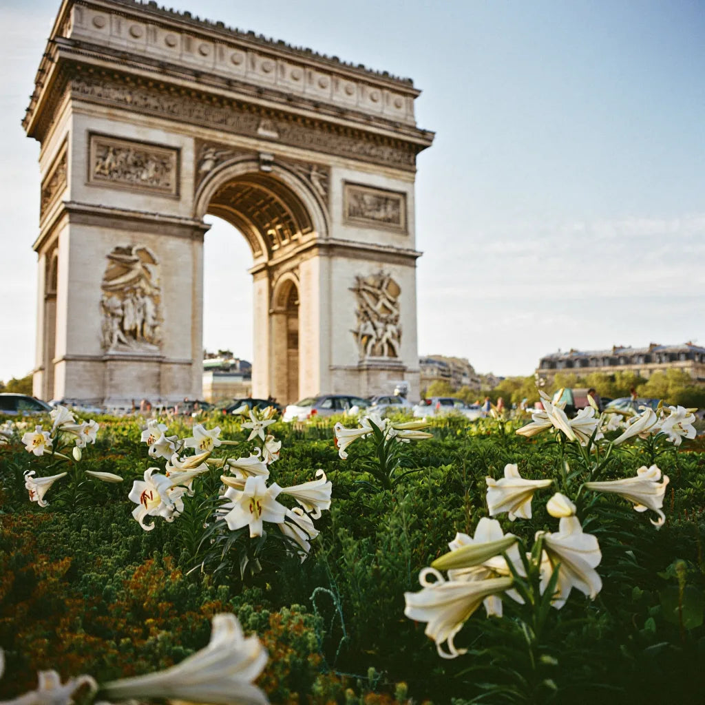 Diffuseur fleur de lys à Paris