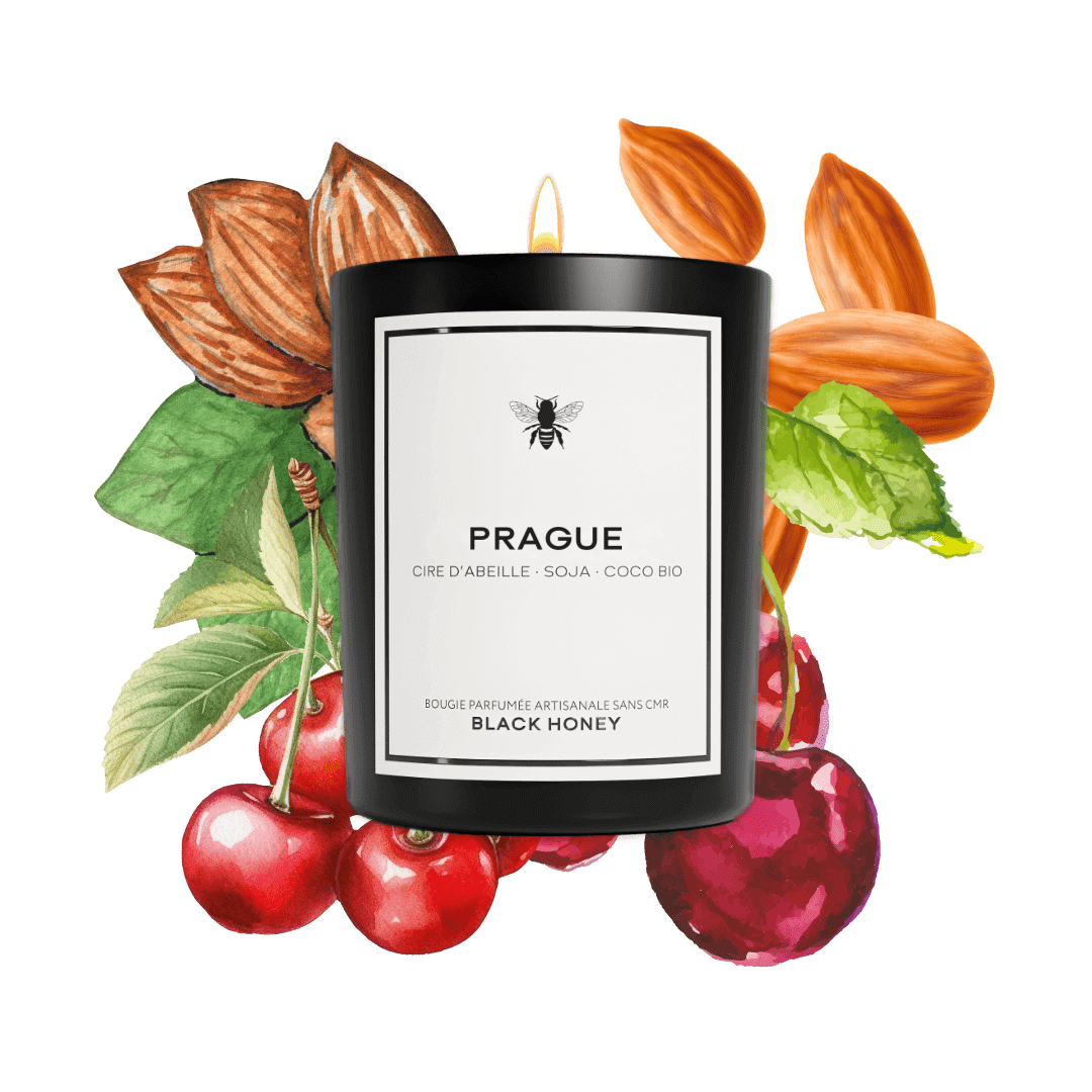 BLACK HONEY Parfums Classique (220g) Bougie cerise noire à Prague