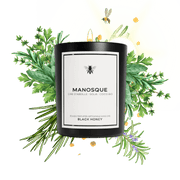 BLACK HONEY Parfums Classique (220g) Bougie garrigue à Manosque